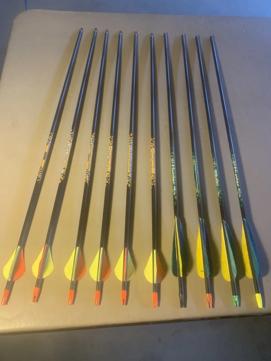 beeman carbon arrows | high precision archery arrows for target & hunting